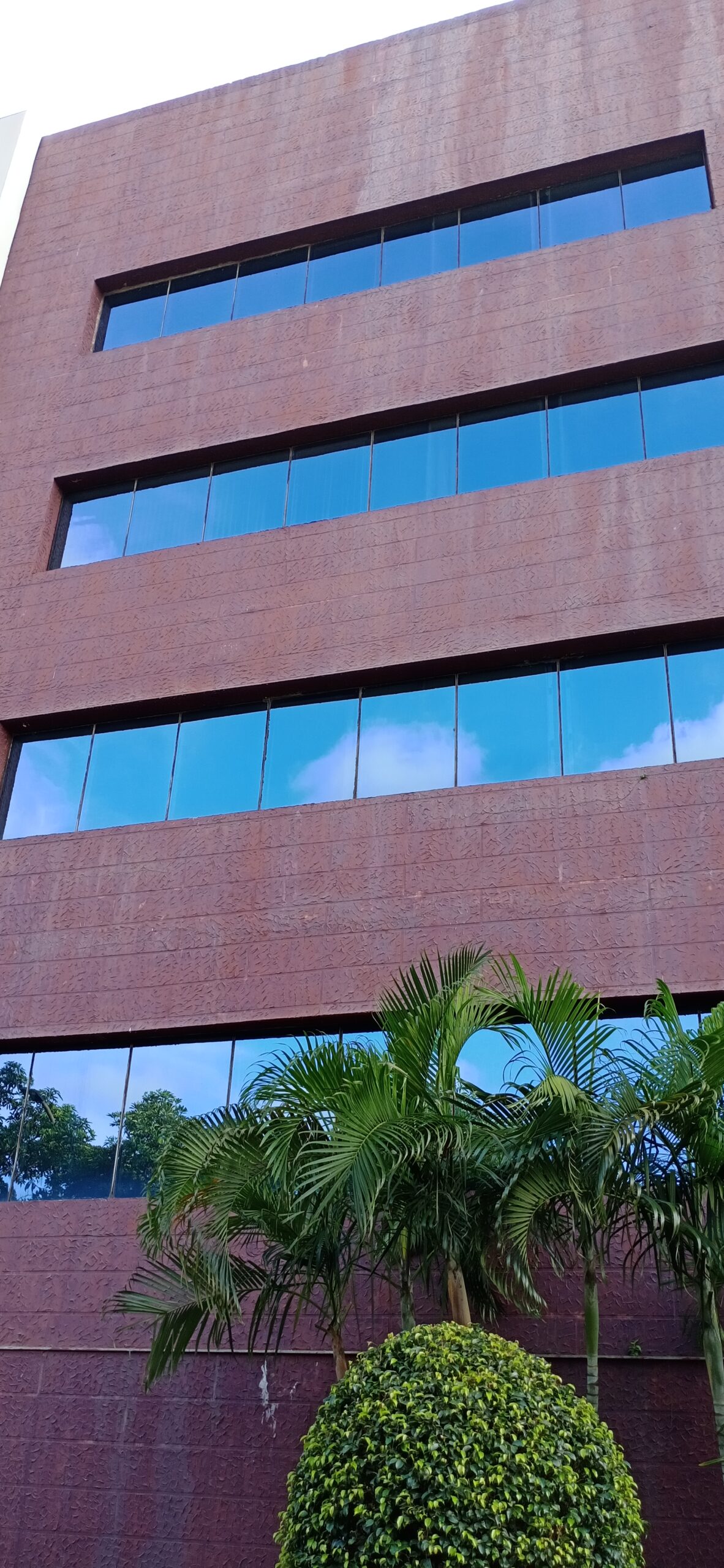 Pfizer Vizag Project 2