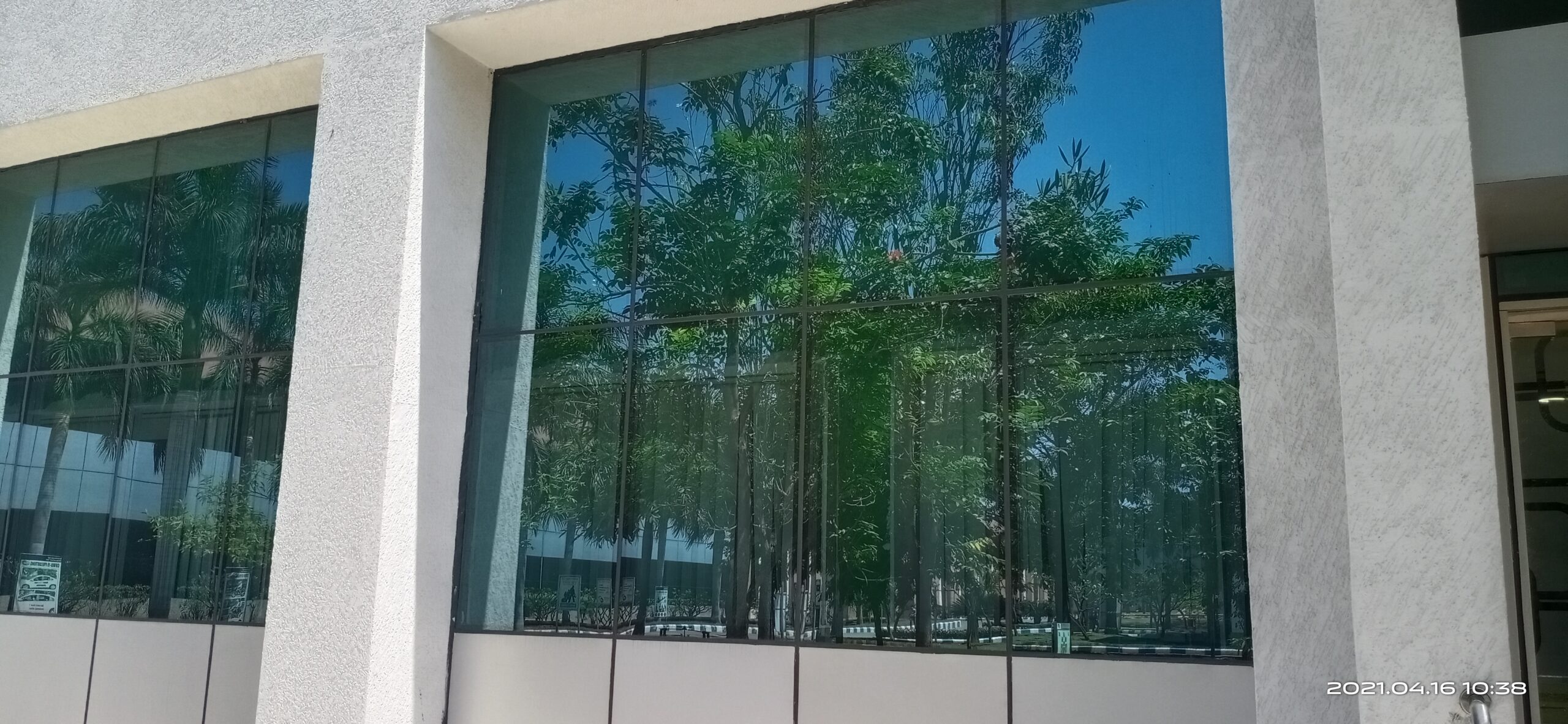 Pfizer Vizag Project 7